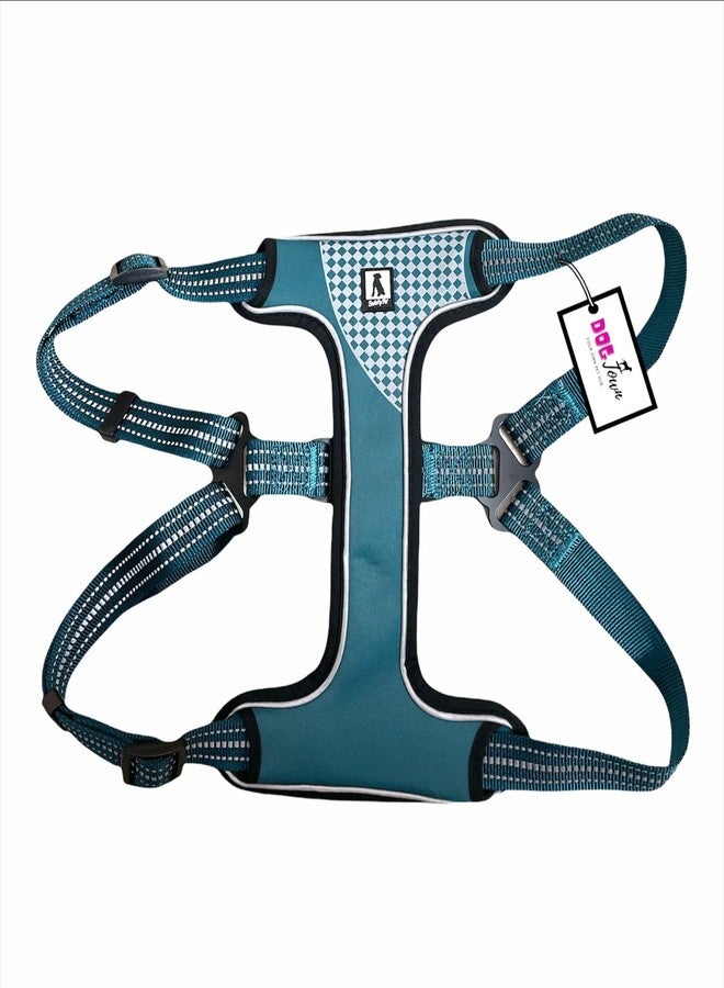 DOGTOWN Adjustable Chest Belts for Dog | Standard Harness with Adjustable Straps, Lock Security Button for Daily Walking, Jogging, Hiking, Training - Blue (Large) - Image 1